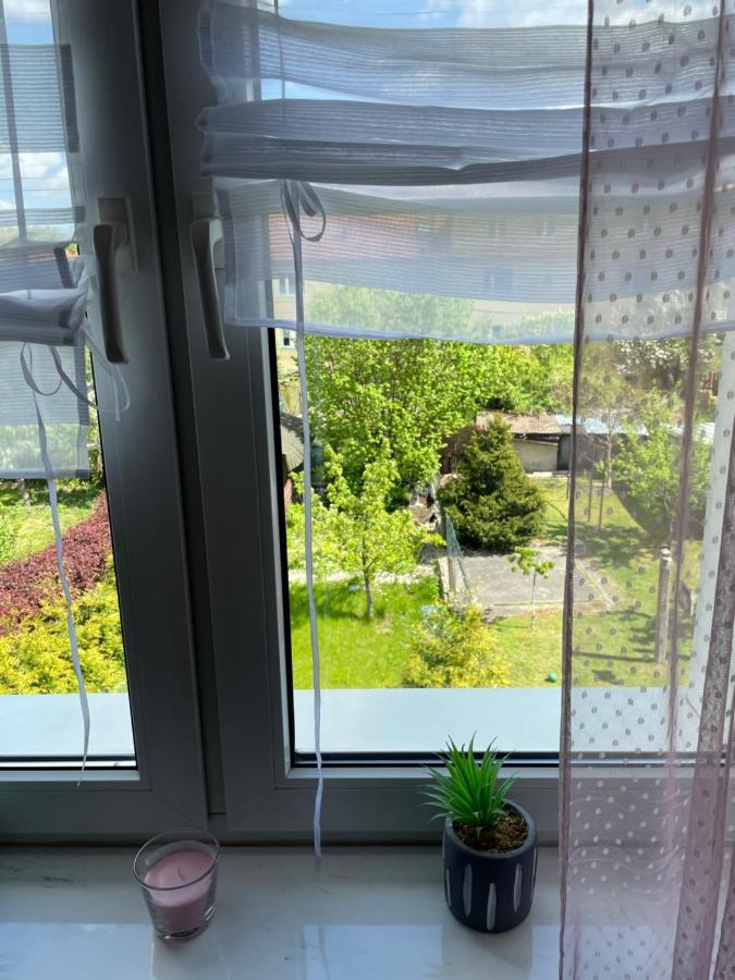 אלבלאג Prestige Apartament מראה חיצוני תמונה