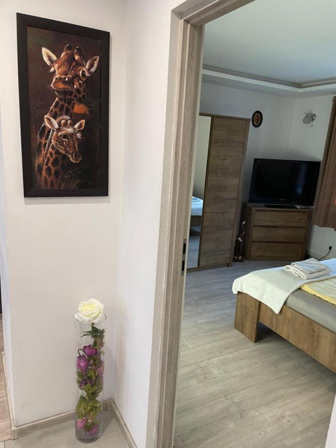 אלבלאג Prestige Apartament מראה חיצוני תמונה